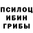 Галлюциногенные грибы мухоморы Satrio 76