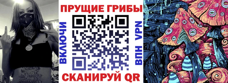 hydra ONION  Суджа  Галлюциногенные грибы ЛСД 